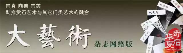 2020儷水賞石群拍賣頭甲石 組圖