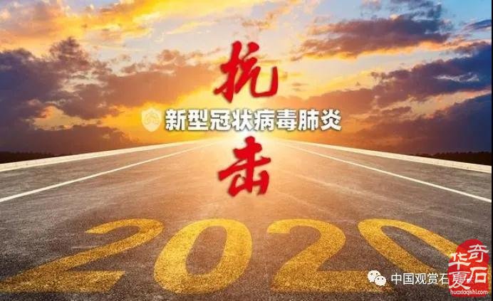 2020年中國觀賞石協會及賞石界十大要聞