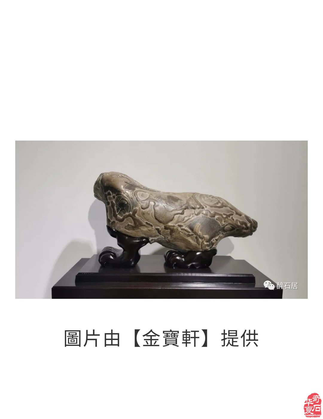 驚艷火爆石界的陳爐石怎肯缺席洛陽石展