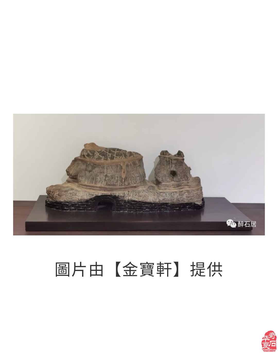 驚艷火爆石界的陳爐石怎肯缺席洛陽石展