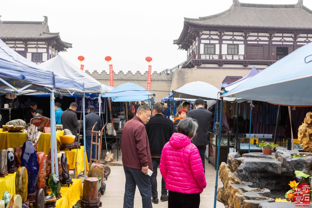 黃河流域九省區賞石文化博覽會暨中國洛陽國際賞石文化藝術展盛大開幕