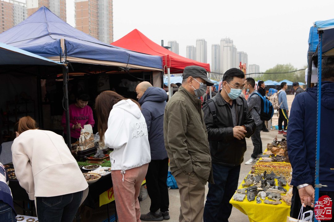 黃河流域九省區賞石文化博覽會暨中國洛陽國際賞石文化藝術展盛大開幕