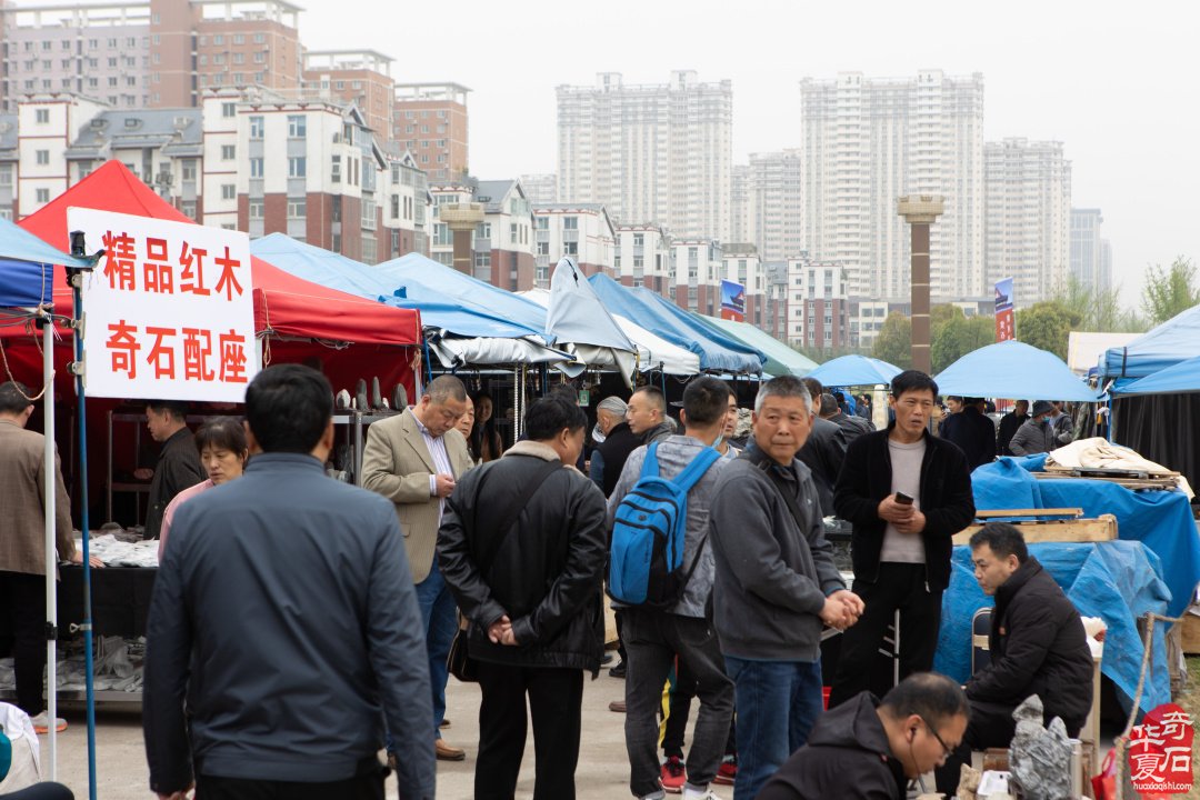 黃河流域九省區賞石文化博覽會暨中國洛陽國際賞石文化藝術展盛大開幕