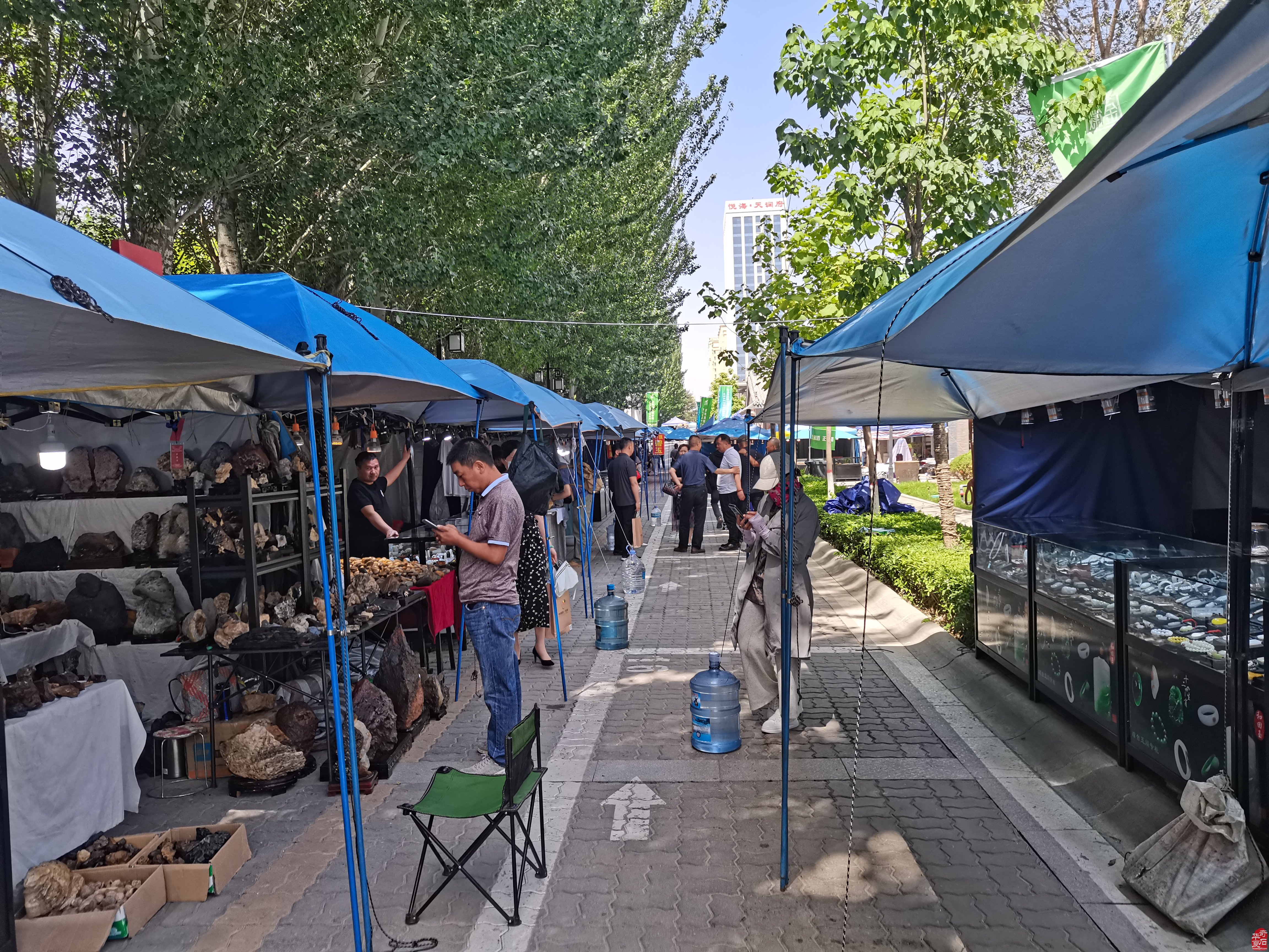 中國·銀川第二屆賞石非遺文化旅游博覽會隆重開幕