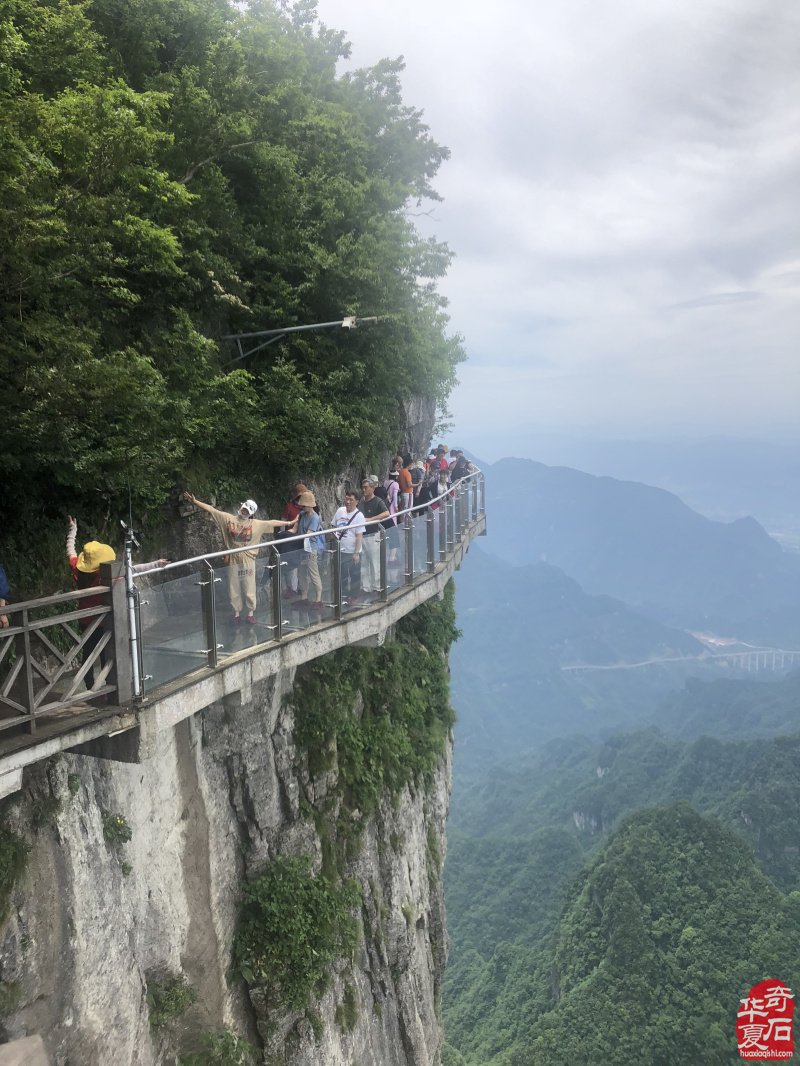 青島賞石文化萬里行走進湖南長沙石博會