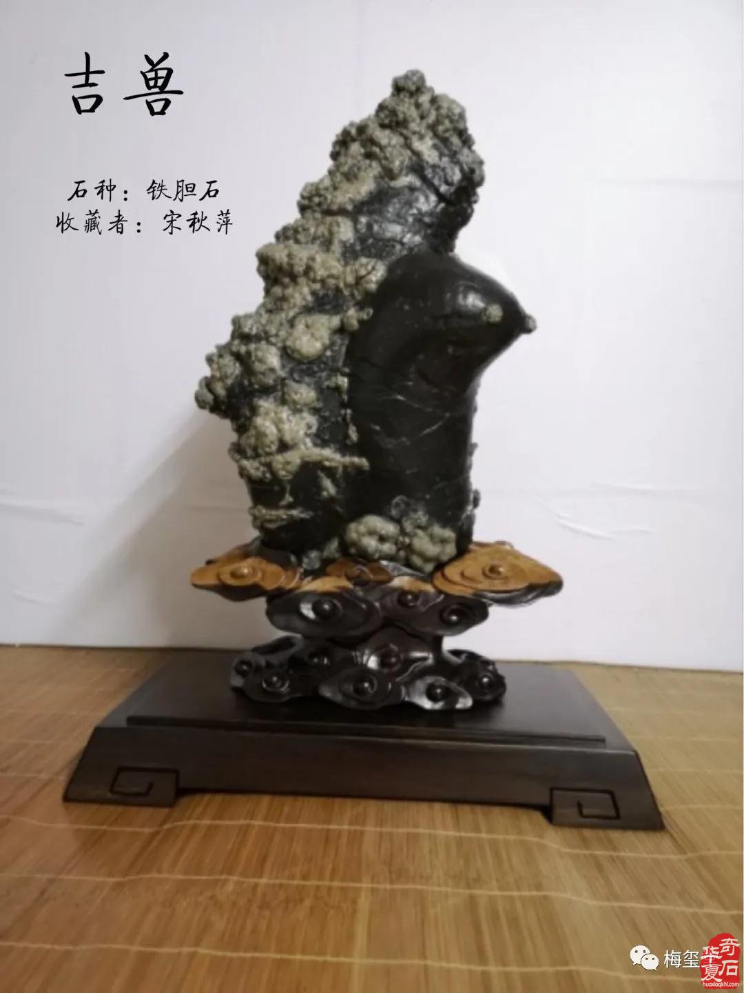 梅璽堂//全國奇石免費展示（第90期節選）