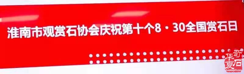 淮南市觀賞石協會開展第十個全國8.30賞石日活動