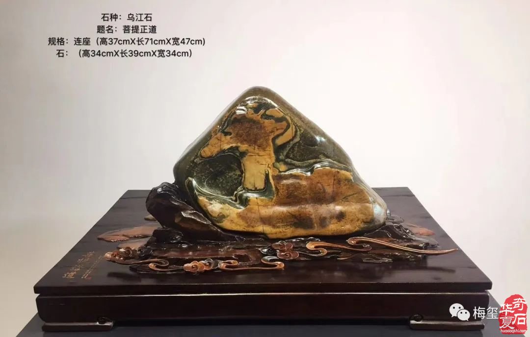 梅璽堂//全國奇石免費展示圖（第100期）