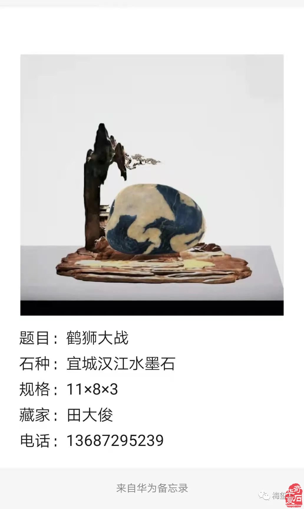 梅璽堂//全國奇石免費展示圖（第100期）