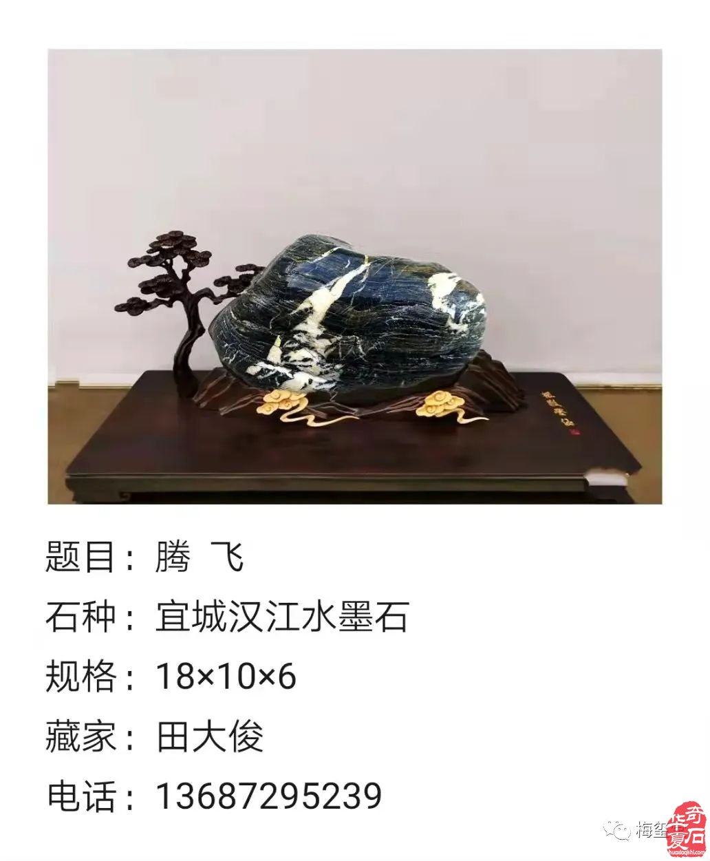 梅璽堂//全國奇石免費展示圖（第101期）