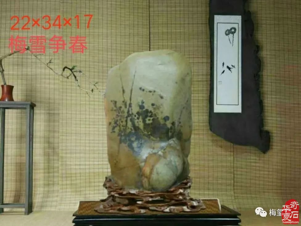 梅璽堂//全國奇石免費展示圖（第101期）