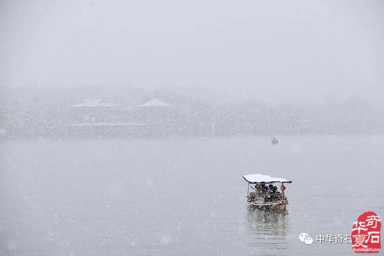 文人與石——張陶庵