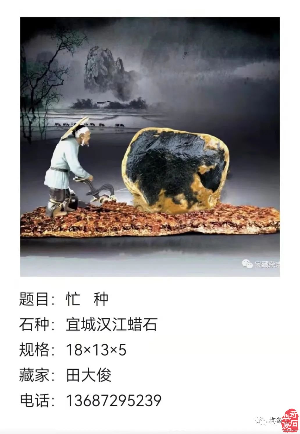 梅璽堂//全國奇石免費展示圖（第103期上）