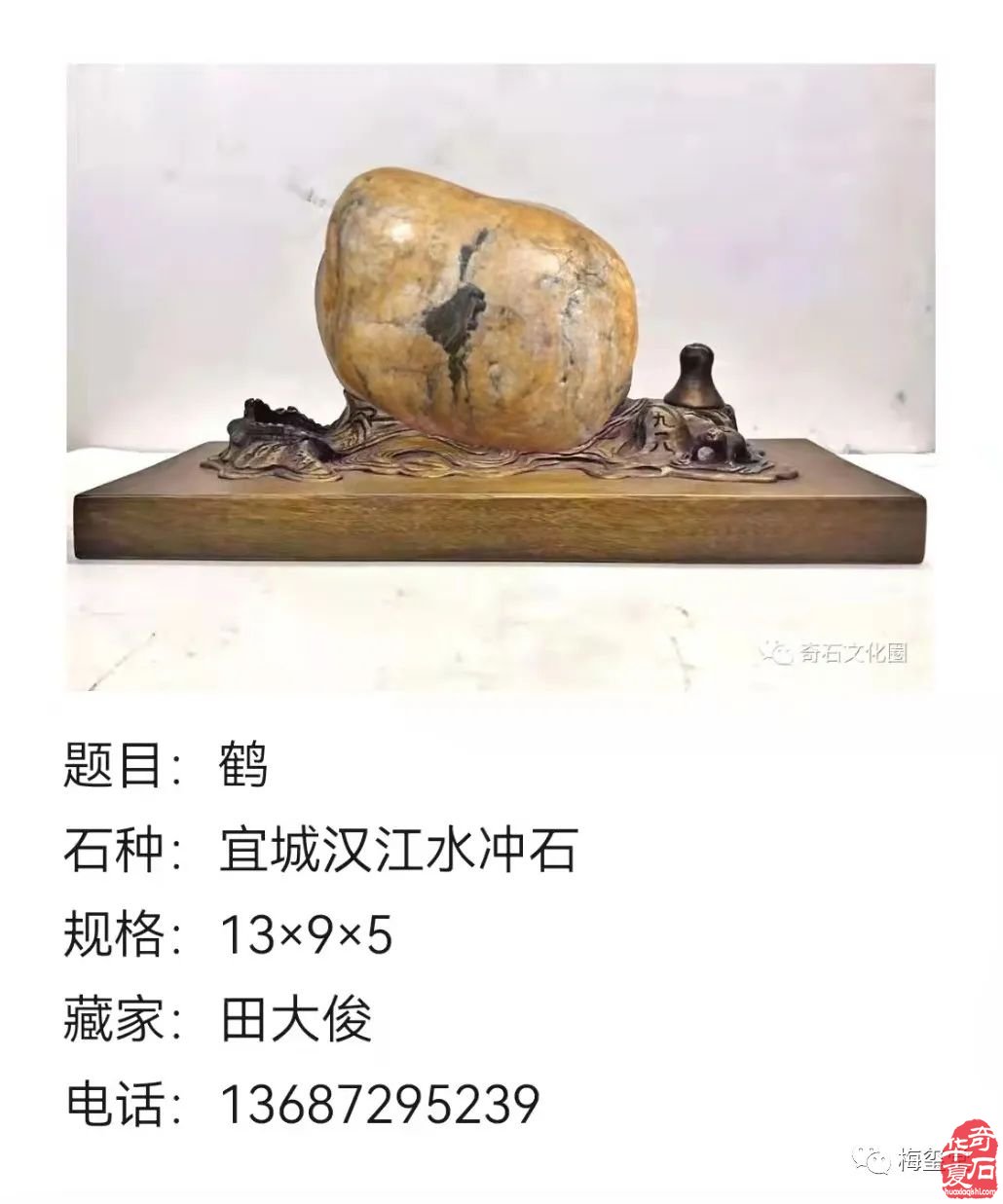 梅璽堂//全國奇石免費展示圖（第103期上）