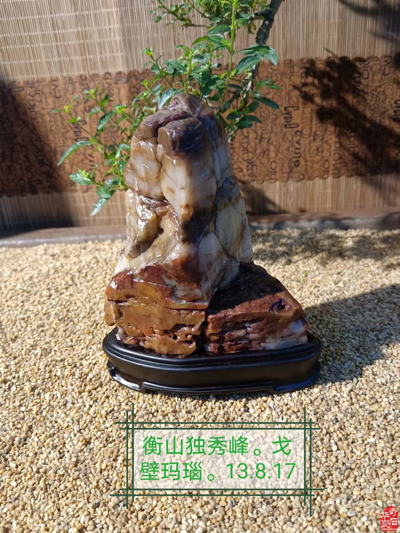 臺灣宗滿師兄的美石將現身9月9日洛陽石展