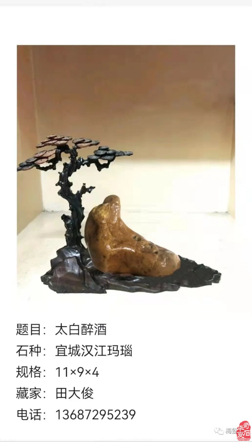 梅璽堂//全國奇石免費展示圖（第104期）