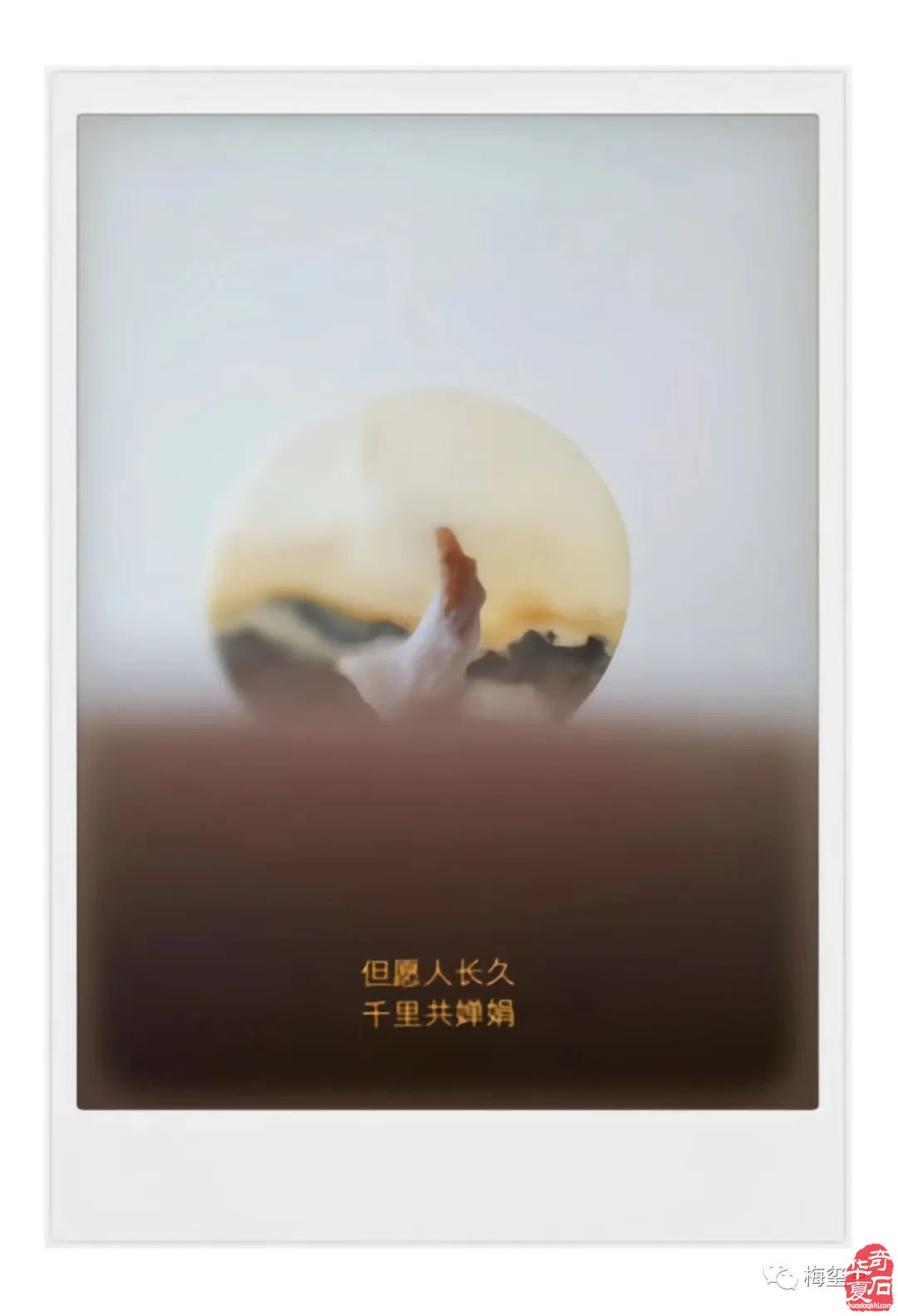 梅璽堂//全國奇石免費展示圖（第105期）