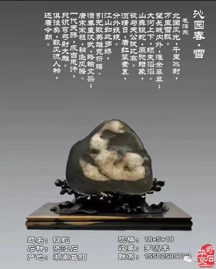 梅璽堂//全國奇石免費展示圖（第107期）