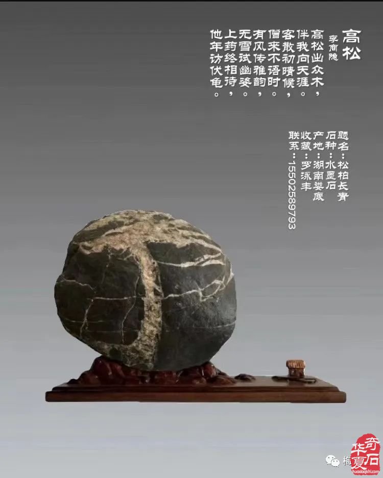 梅璽堂//全國奇石免費展示圖（第107期）