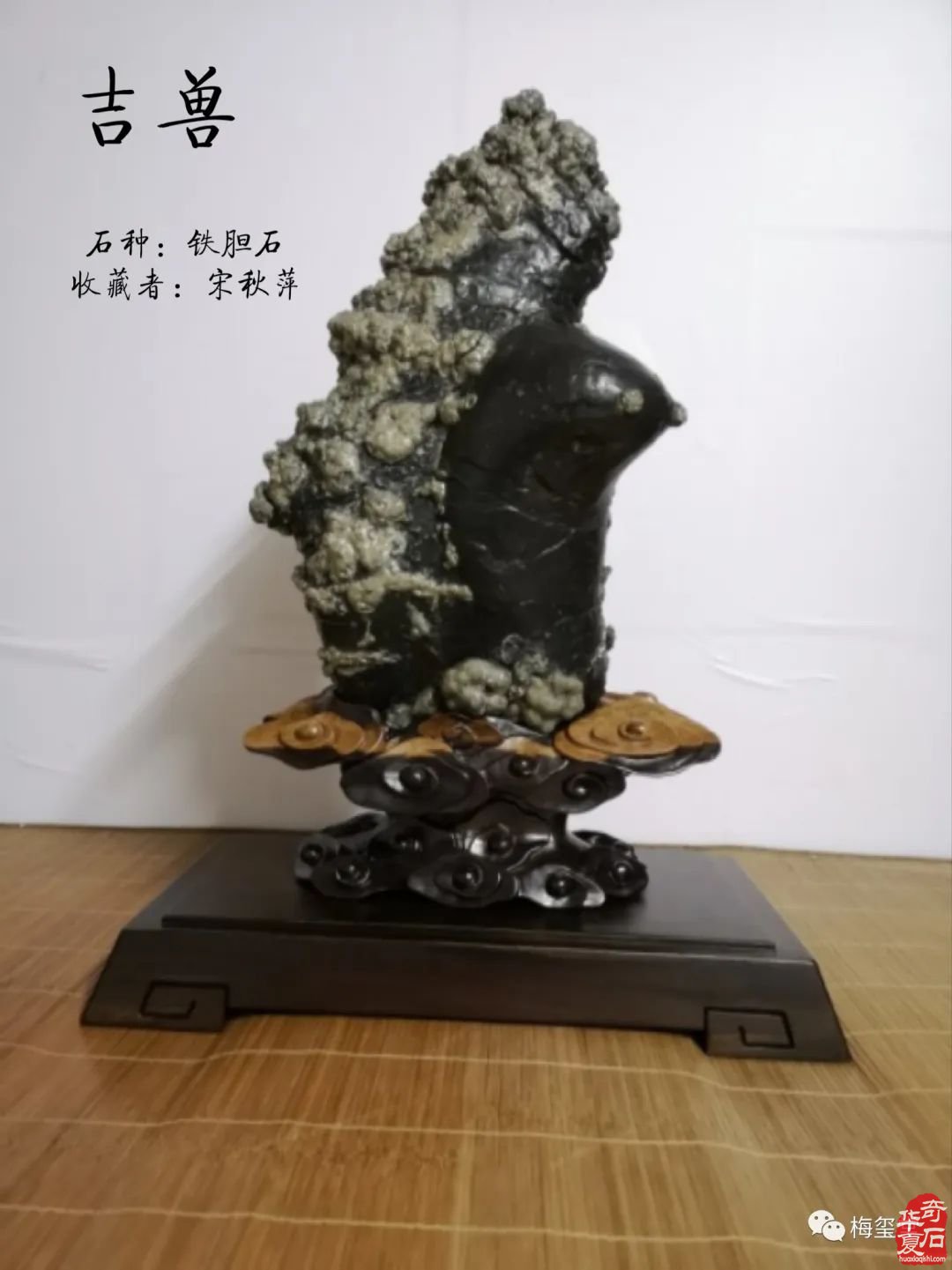 梅璽堂//全國奇石免費展示圖（第107期）