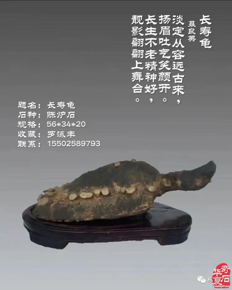 梅璽堂//全國奇石免費展示圖（第107期）