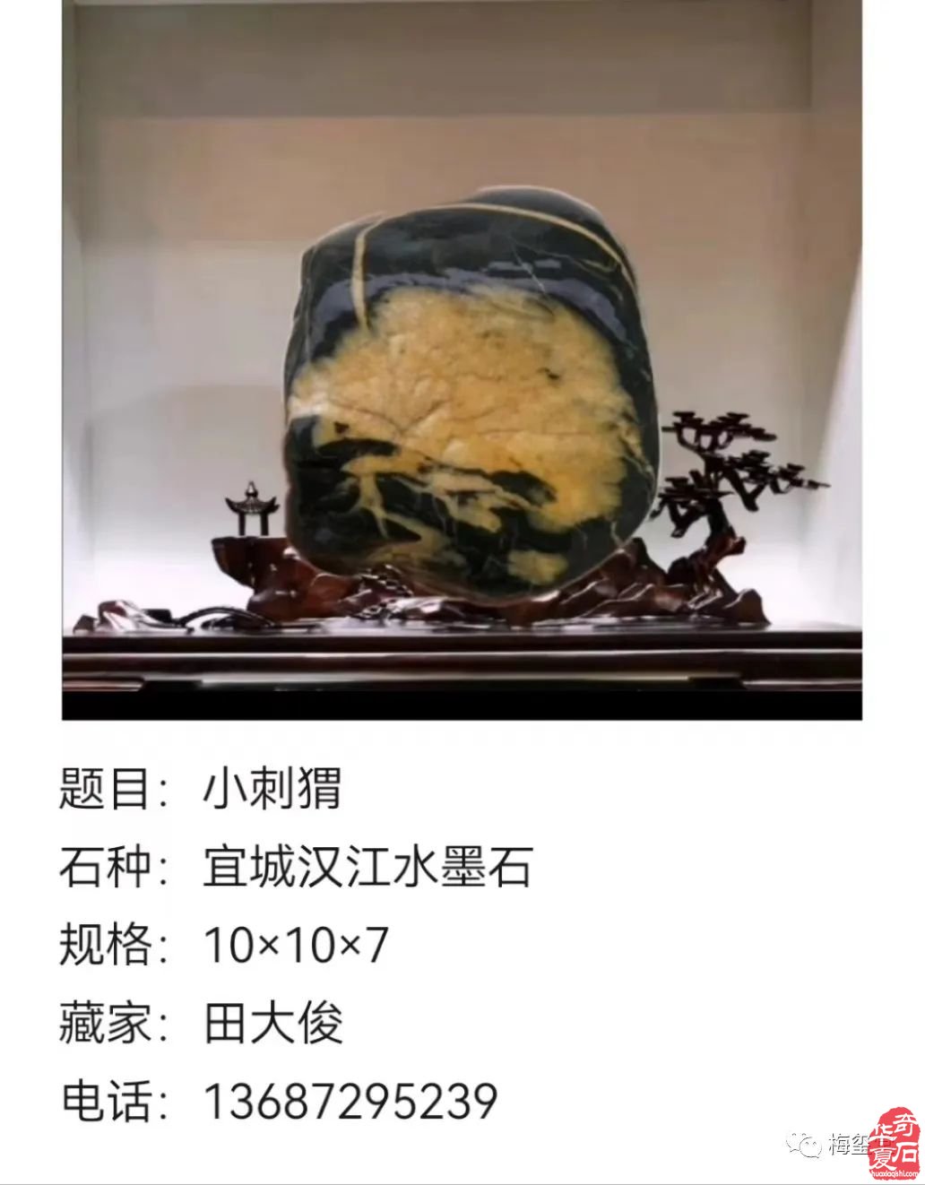 梅璽堂//全國奇石免費展示圖（第108期）