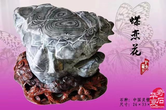 中國•濟南第十一屆 觀賞石寶玉石博覽會暨奇石精品展