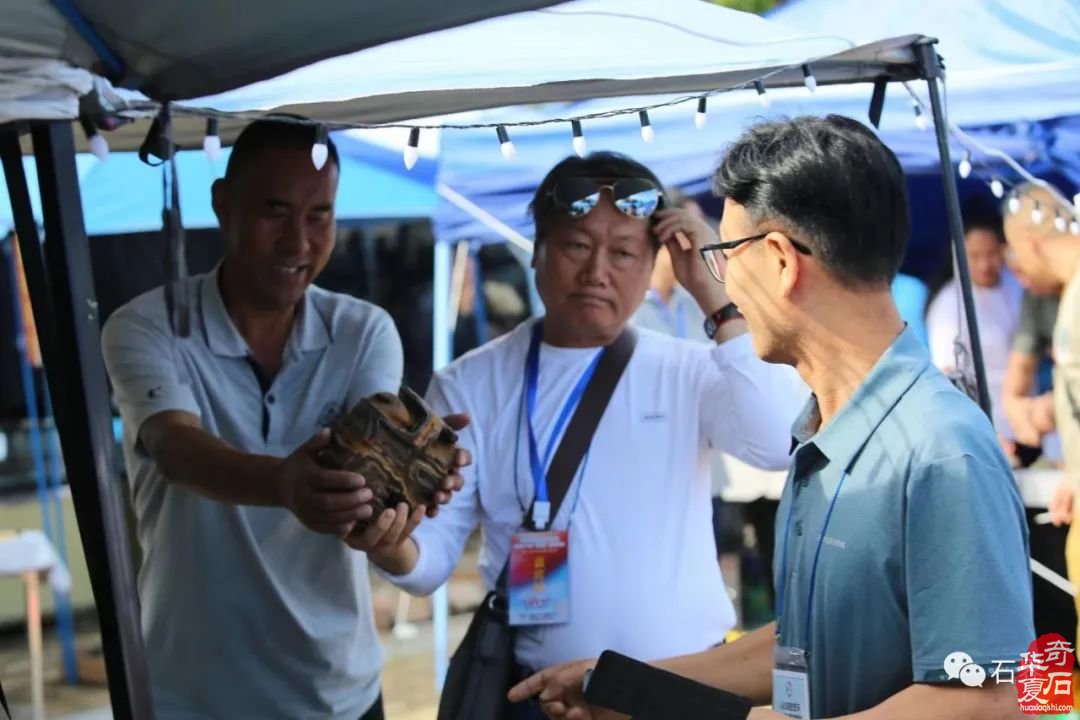 圓滿落幕！點贊中韓第七屆賞石•壽石文化交流展暨青島第十七屆賞石博覽會“青島杯”