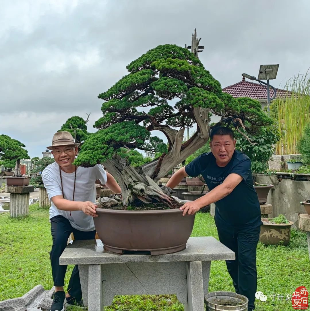 多面人生 石界輝哥