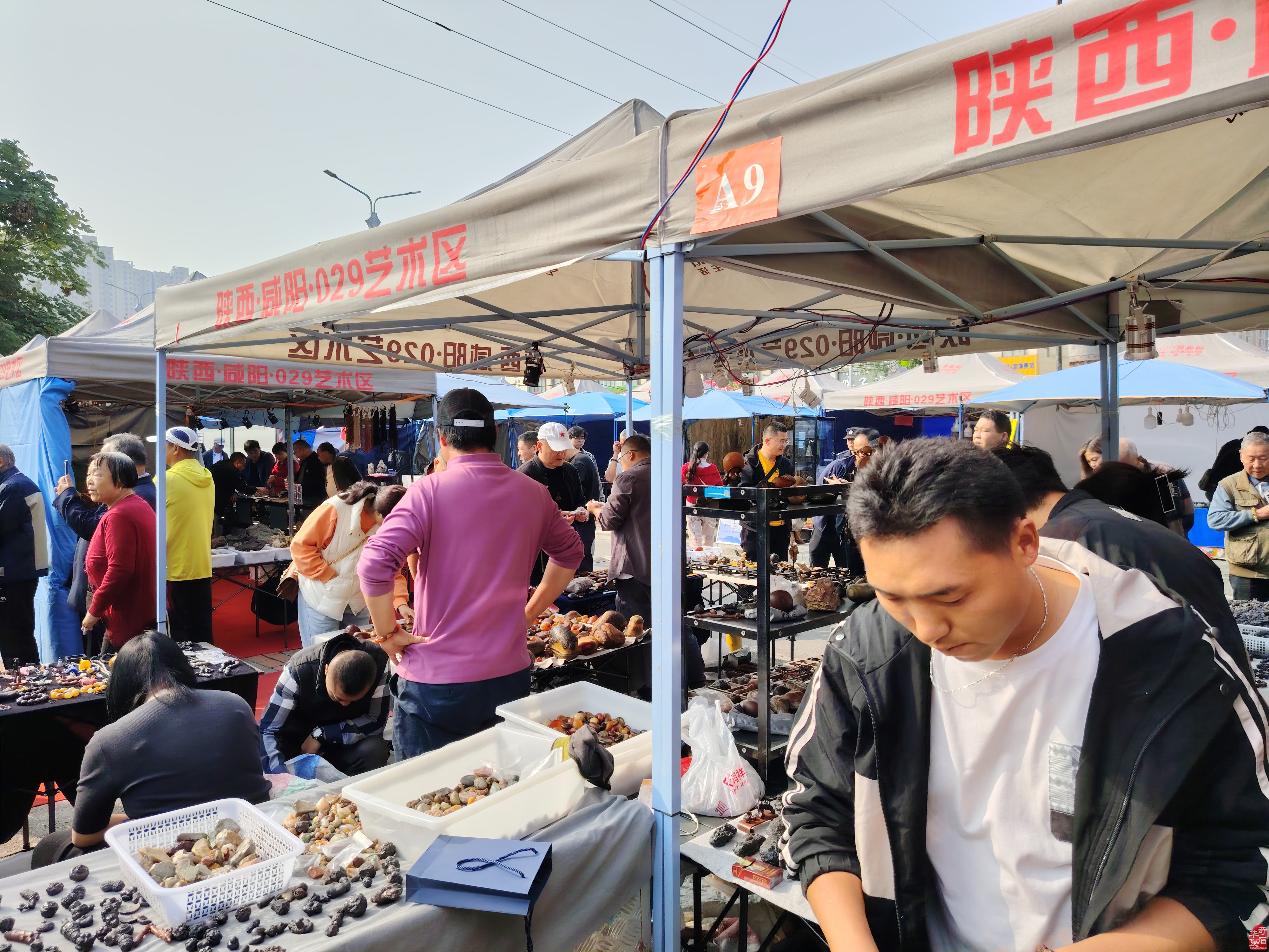 第六屆中國（咸陽）賞石文化旅游節暨中國賞石藝術食品石專題展盛大開幕