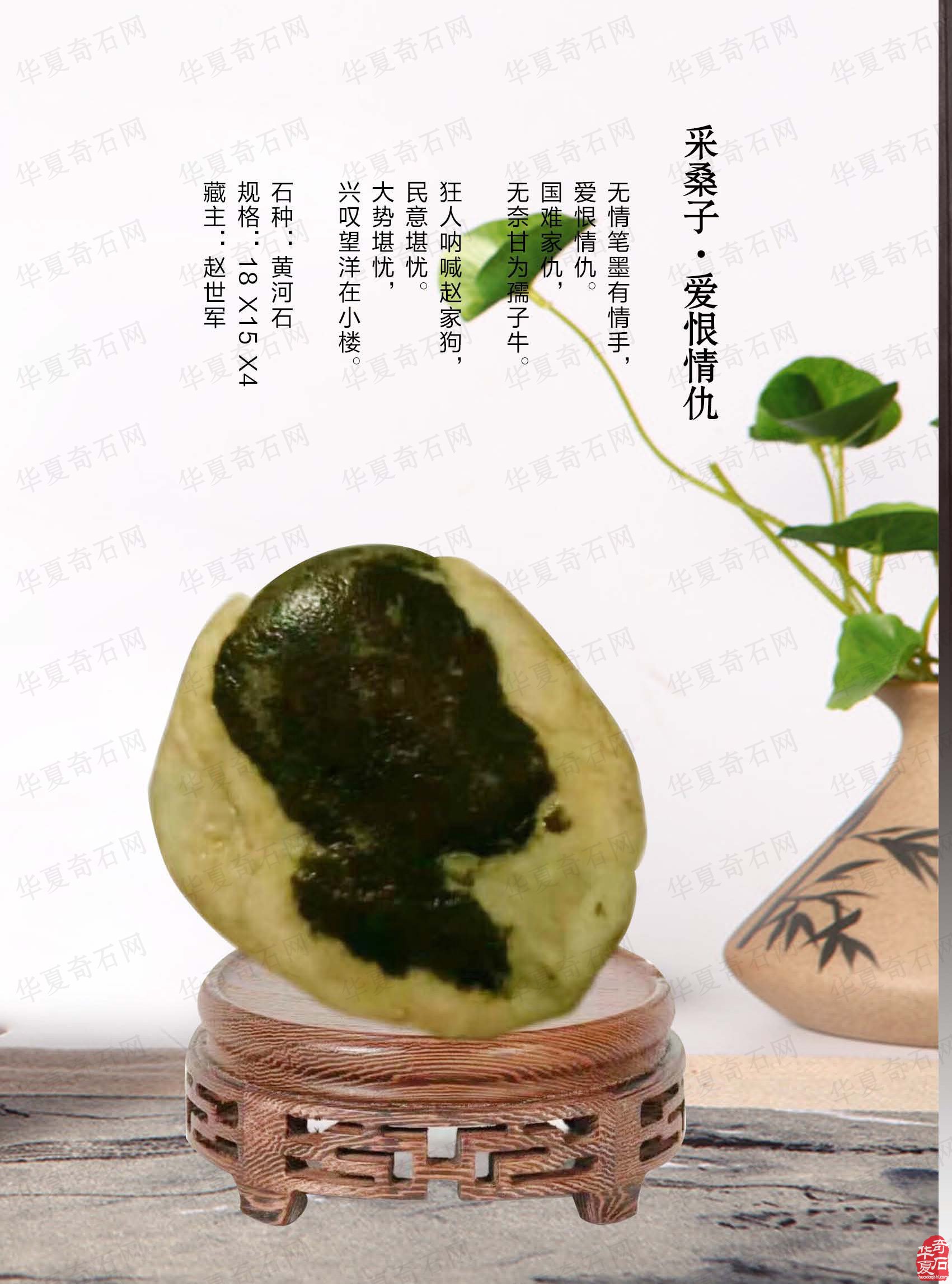 欣賞《于公賞石》雜志推介的大秦奇石藝術館