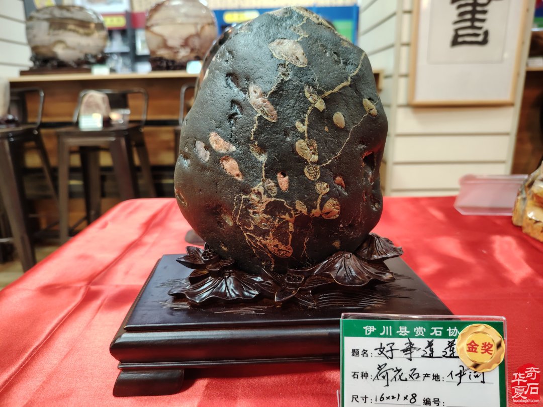 伊川縣賞石首屆賞石文化迎新展開幕