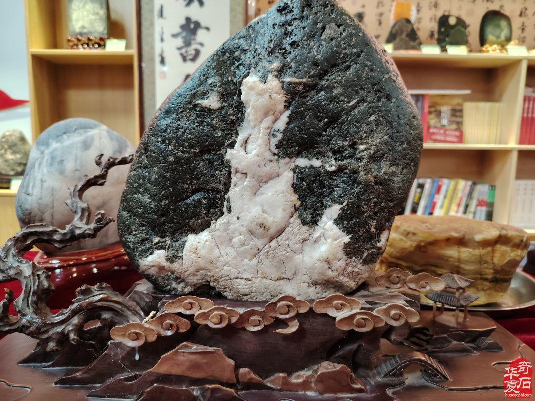 伊川縣賞石首屆賞石文化迎新展開幕