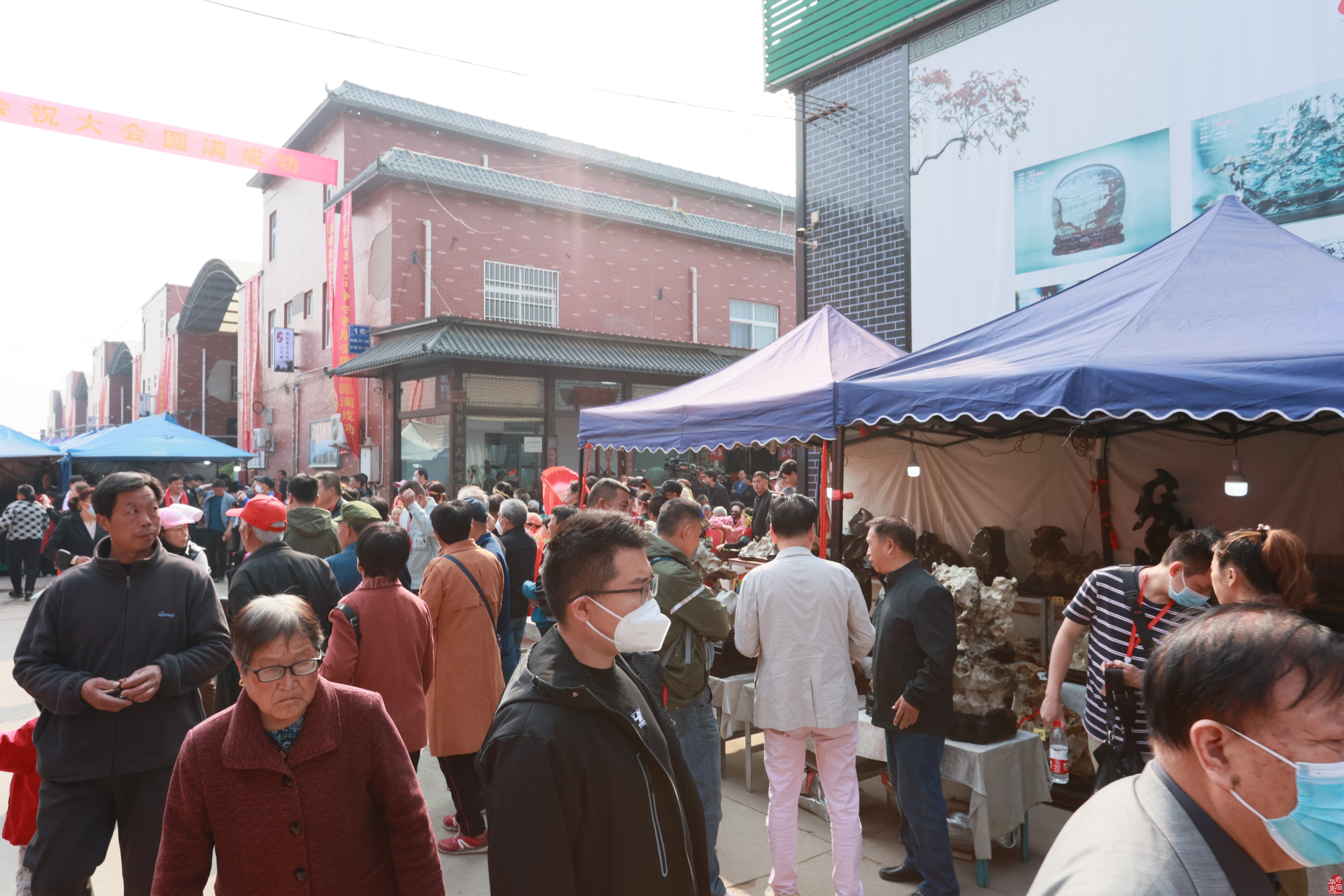 在賞石路上執著向前的洛陽市賞石協會