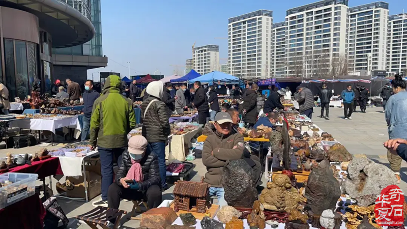 石家莊第十八屆觀賞石博覽會即將璀璨開幕