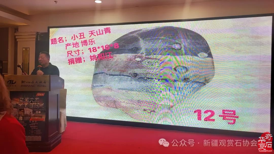 2024年“相約三八，奮進新征程；賞石圓夢，建功新時代。”——新疆觀賞石協會三八婦女節活動紀實