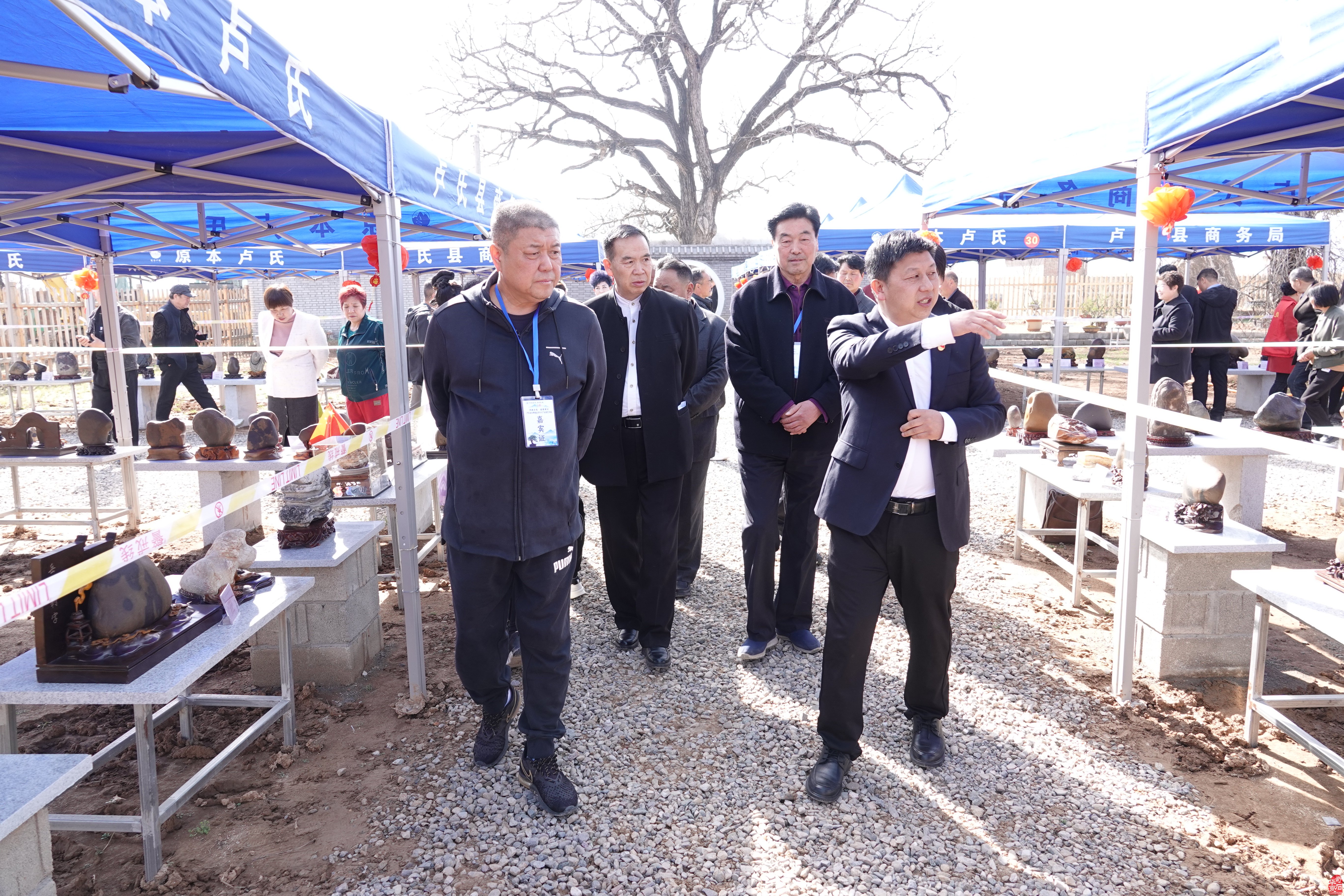 盧氏縣東明鎮盆景奇石產業園藝術展開幕