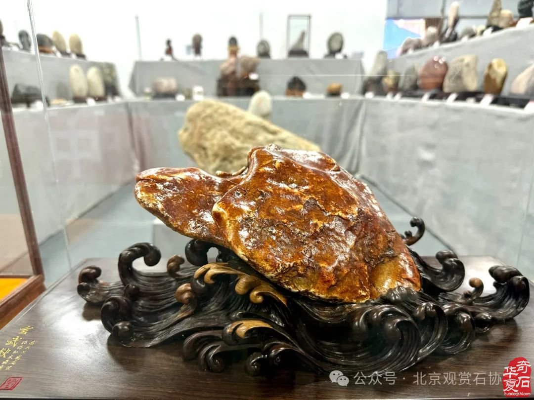 到洛陽奇石古玩文化城看大型石展賞精品美石