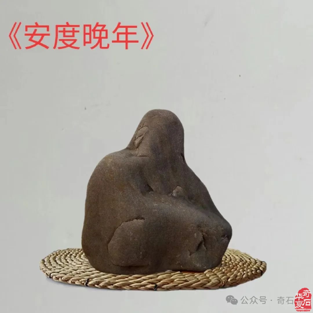 石情話意： 醉石翁賞石