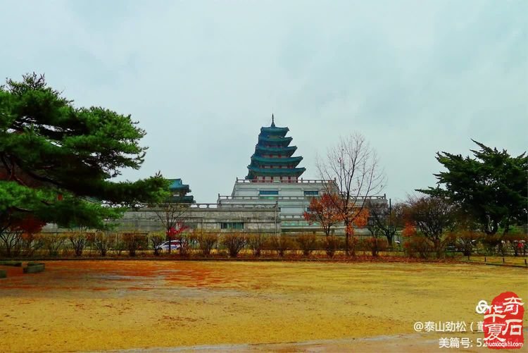 中國石界創新篇、中韓石友大聯歡——青島賞石文化萬里行，共同演繹跨國賞石盛會