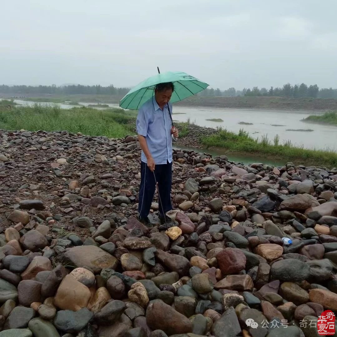 將快樂玩石進行到底 圖