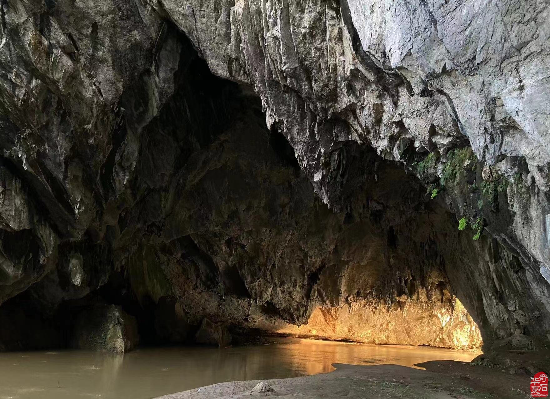 弘揚賞石文化不遺余力累并快樂的一群人