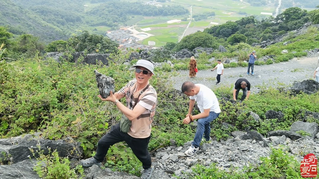 弘揚賞石文化不遺余力累并快樂的一群人