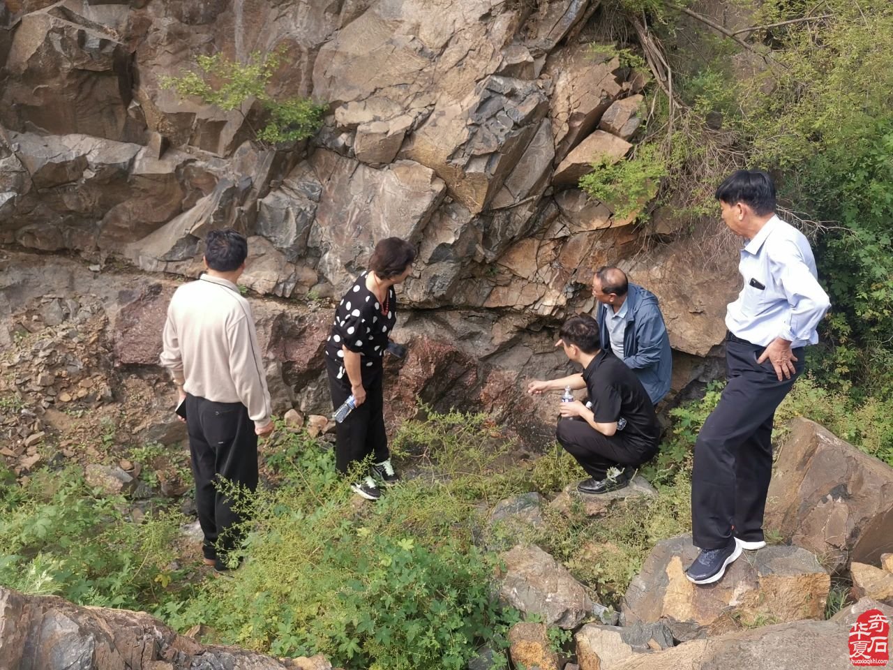 當前賞石產業發展破局路徑之我見