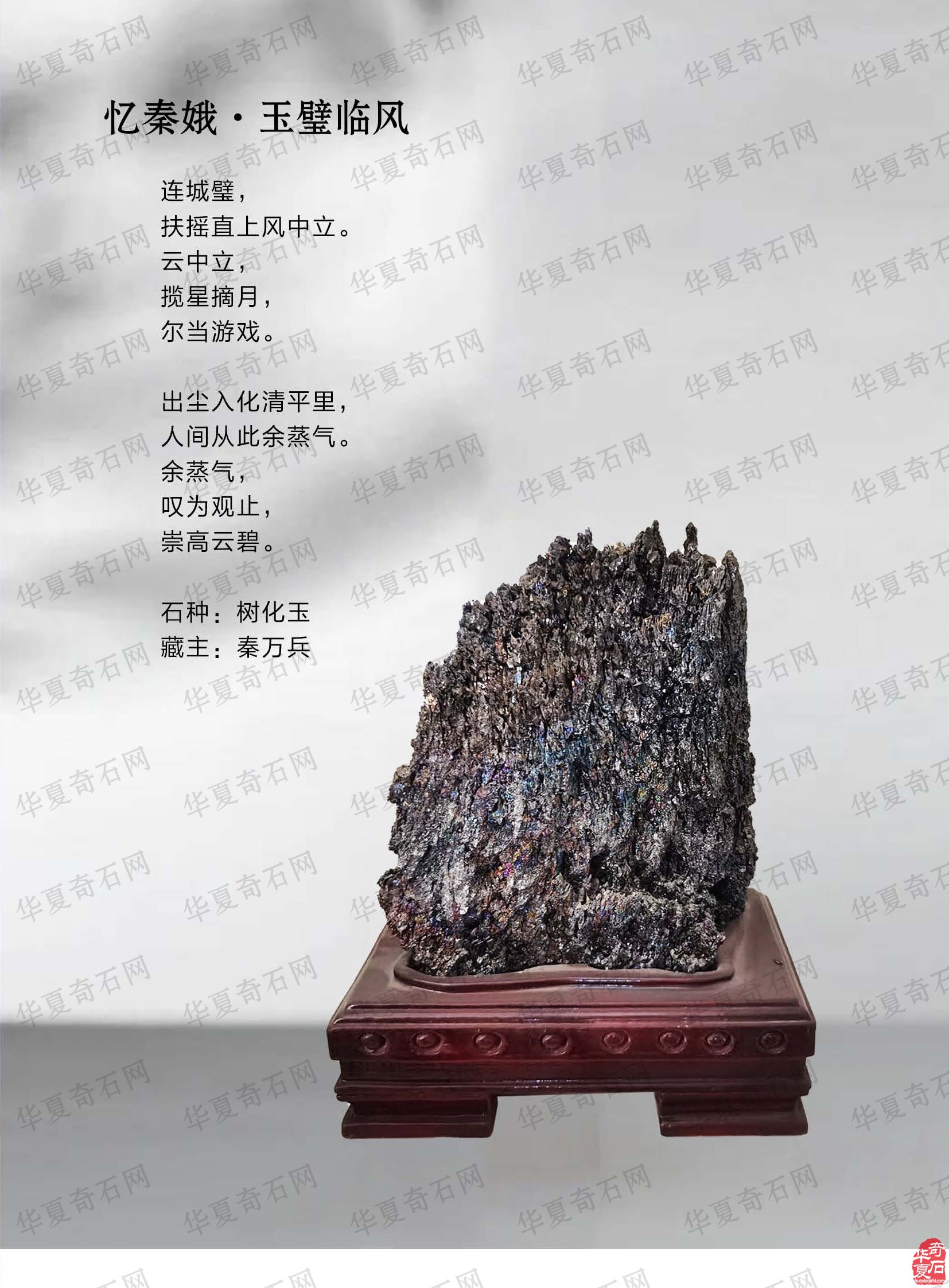 《于公賞石》上看石界大咖秦萬兵如何作為