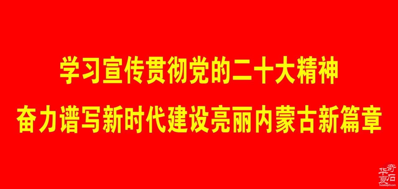 2024第二十屆阿拉善玉 · 觀賞石文化旅游節震撼石界