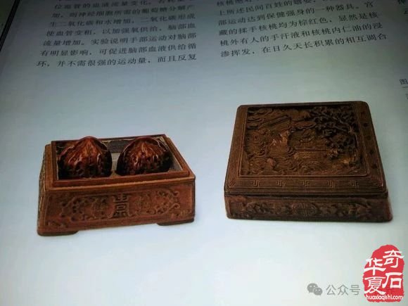 戈壁石“核桃”即將亮相上海石展