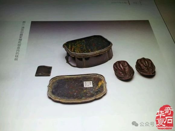 戈壁石“核桃”即將亮相上海石展