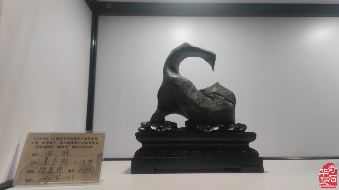 山東淄博觀賞石文玩博覽會精品展作品欣賞