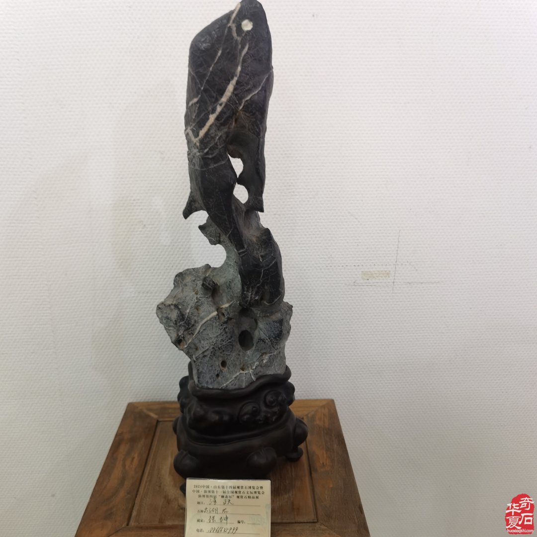 山東淄博觀賞石文玩博覽會精品展作品欣賞